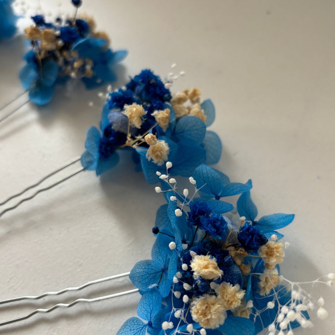 Les peignes et Epingles