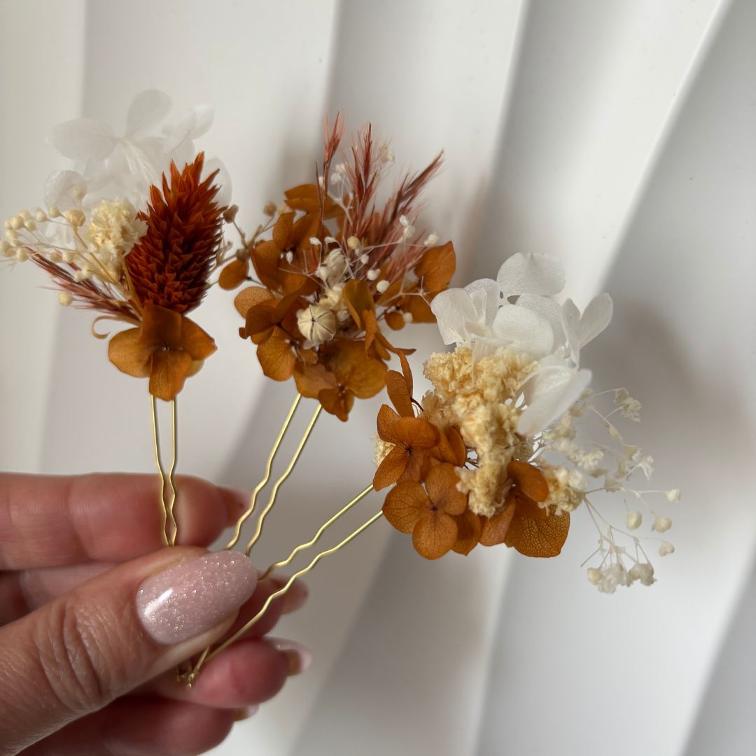 Les peignes et Epingles