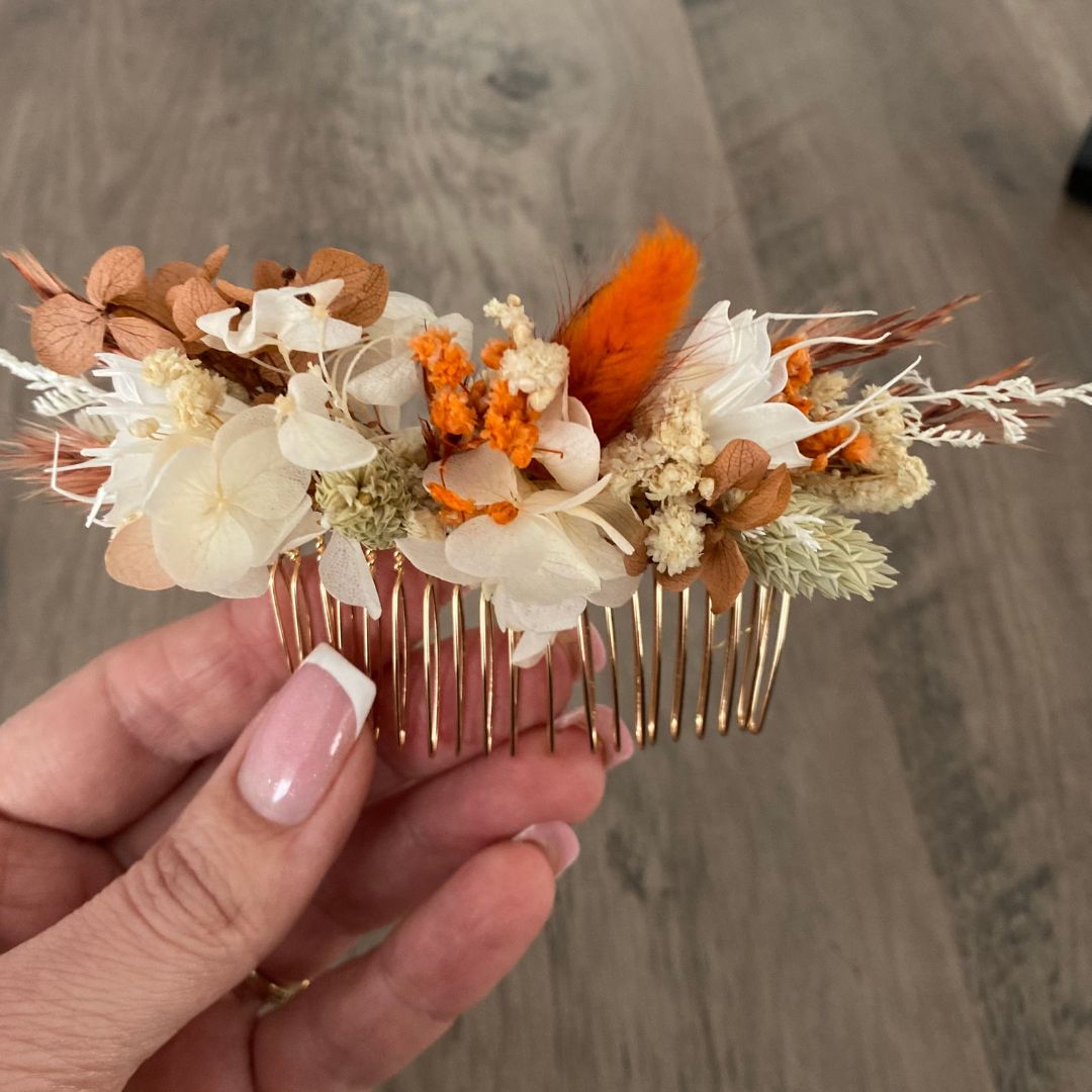 Les peignes et Epingles