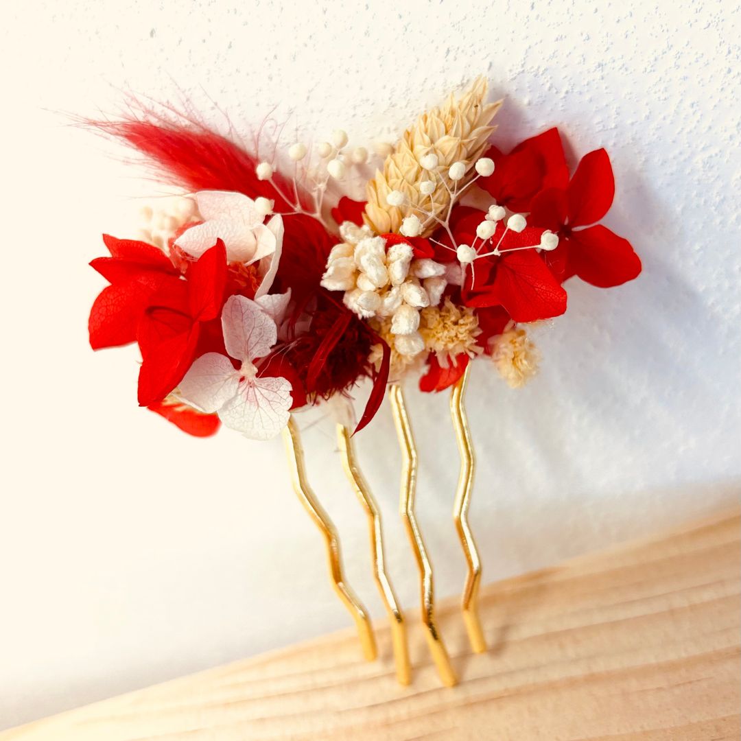 Les peignes et Epingles